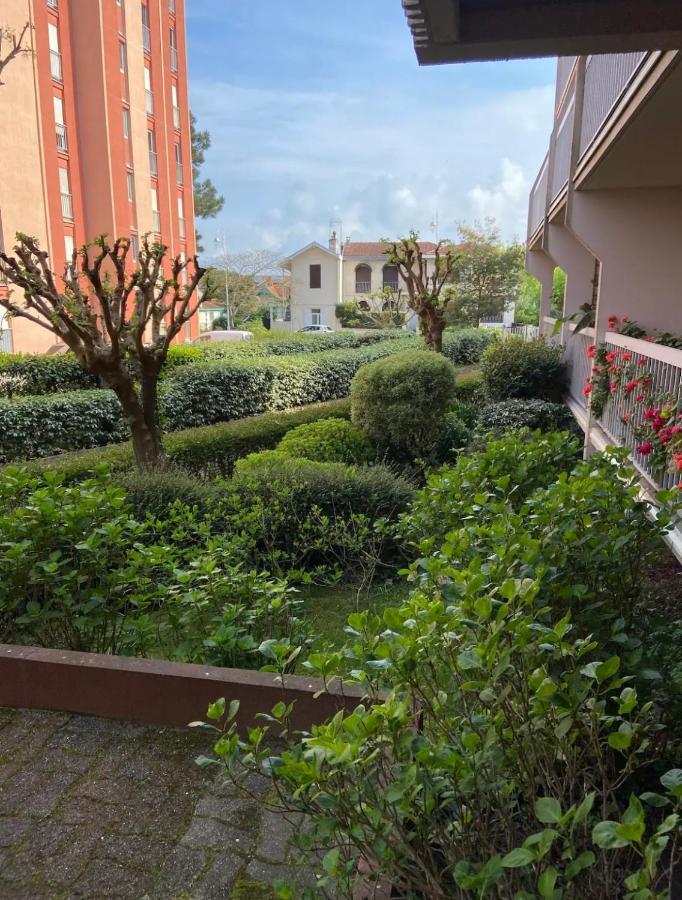 Appartement Au Coeur De La *